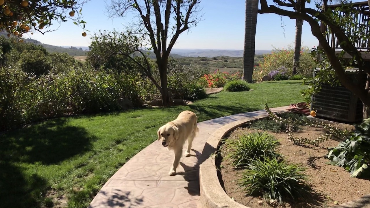 Photo of Outdoor in Fallbrook