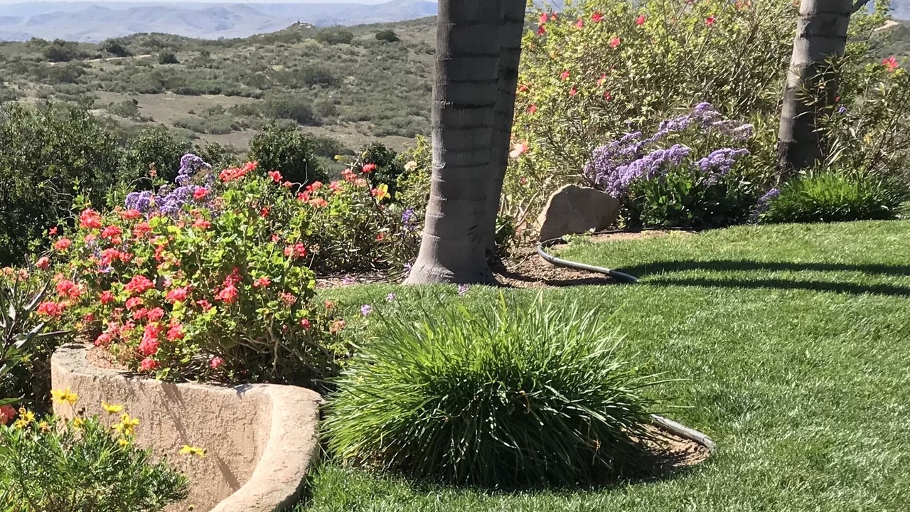 Photo of Others in Fallbrook