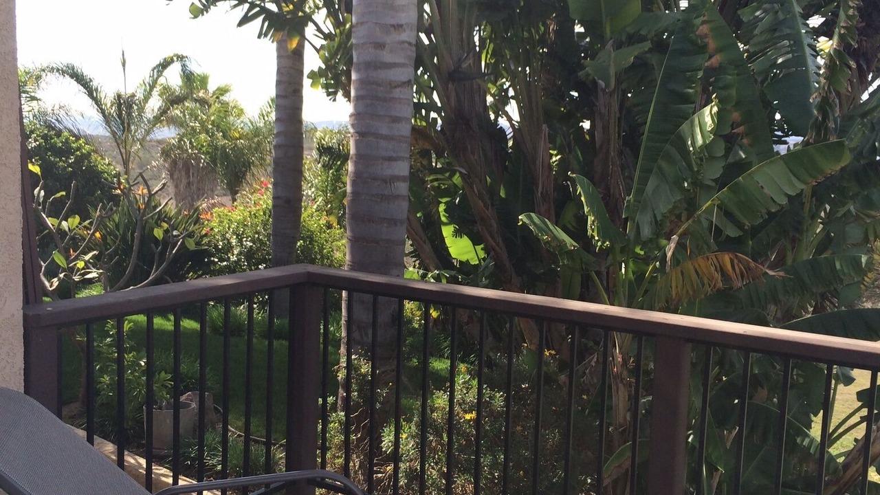 Photo of Outdoor in Fallbrook