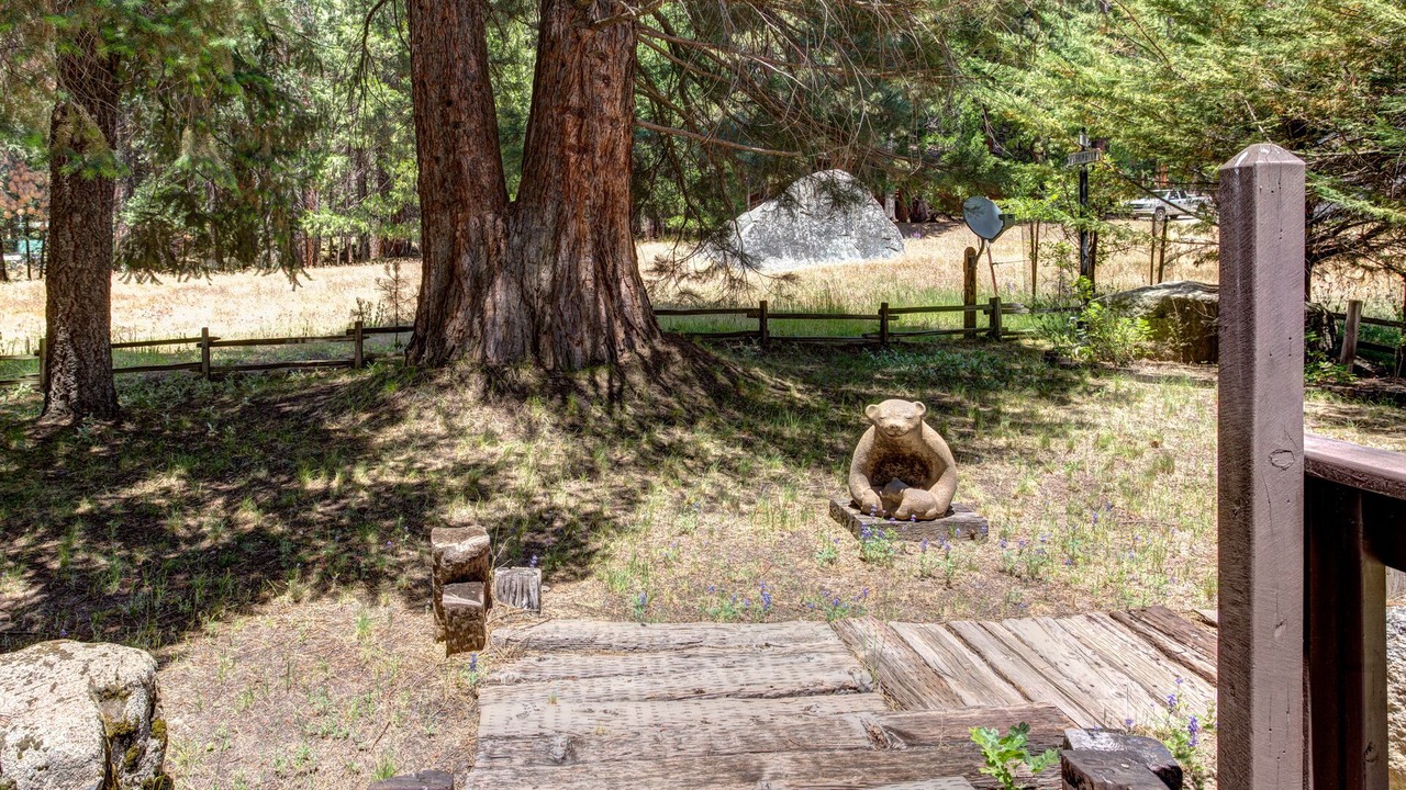 Photo of Others in North Wawona