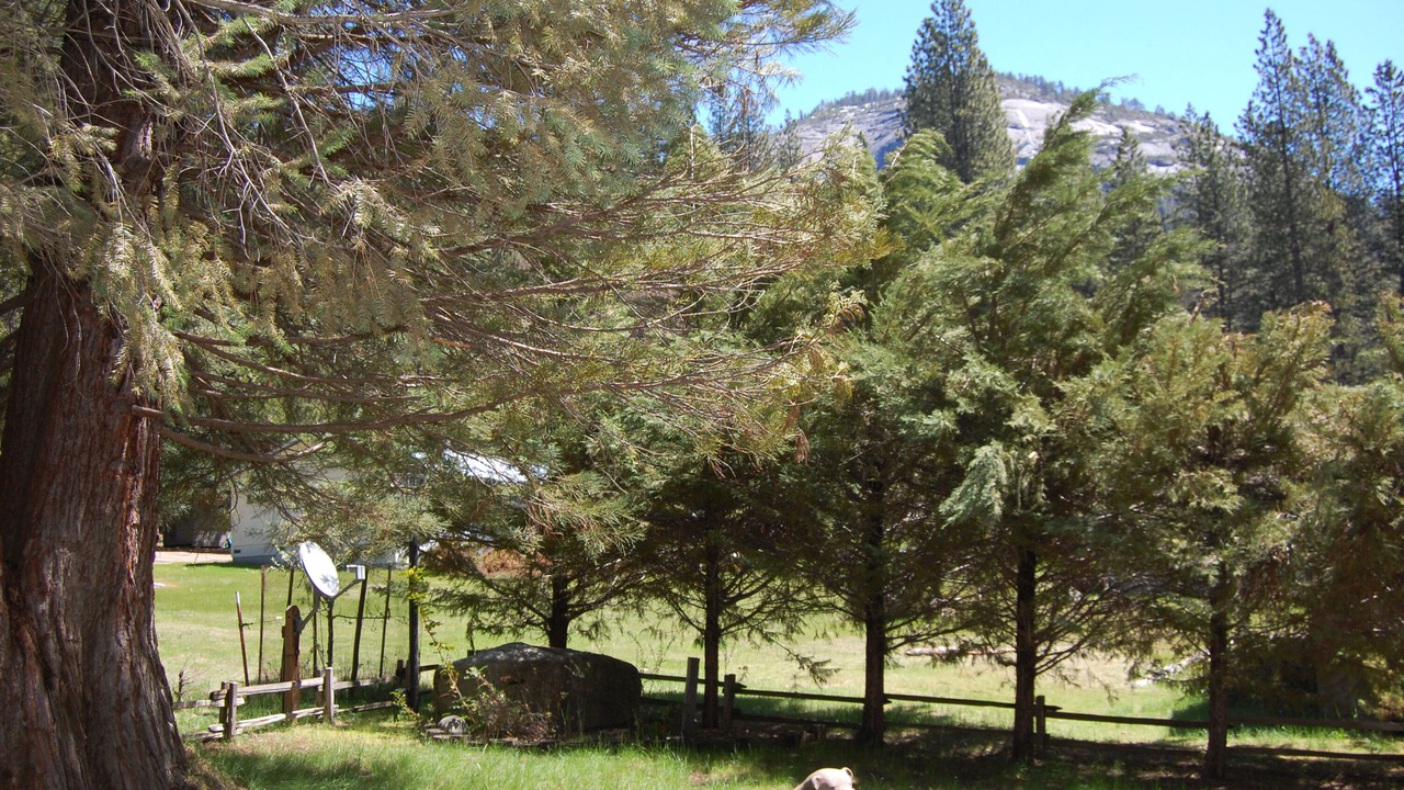 Photo of Others in North Wawona