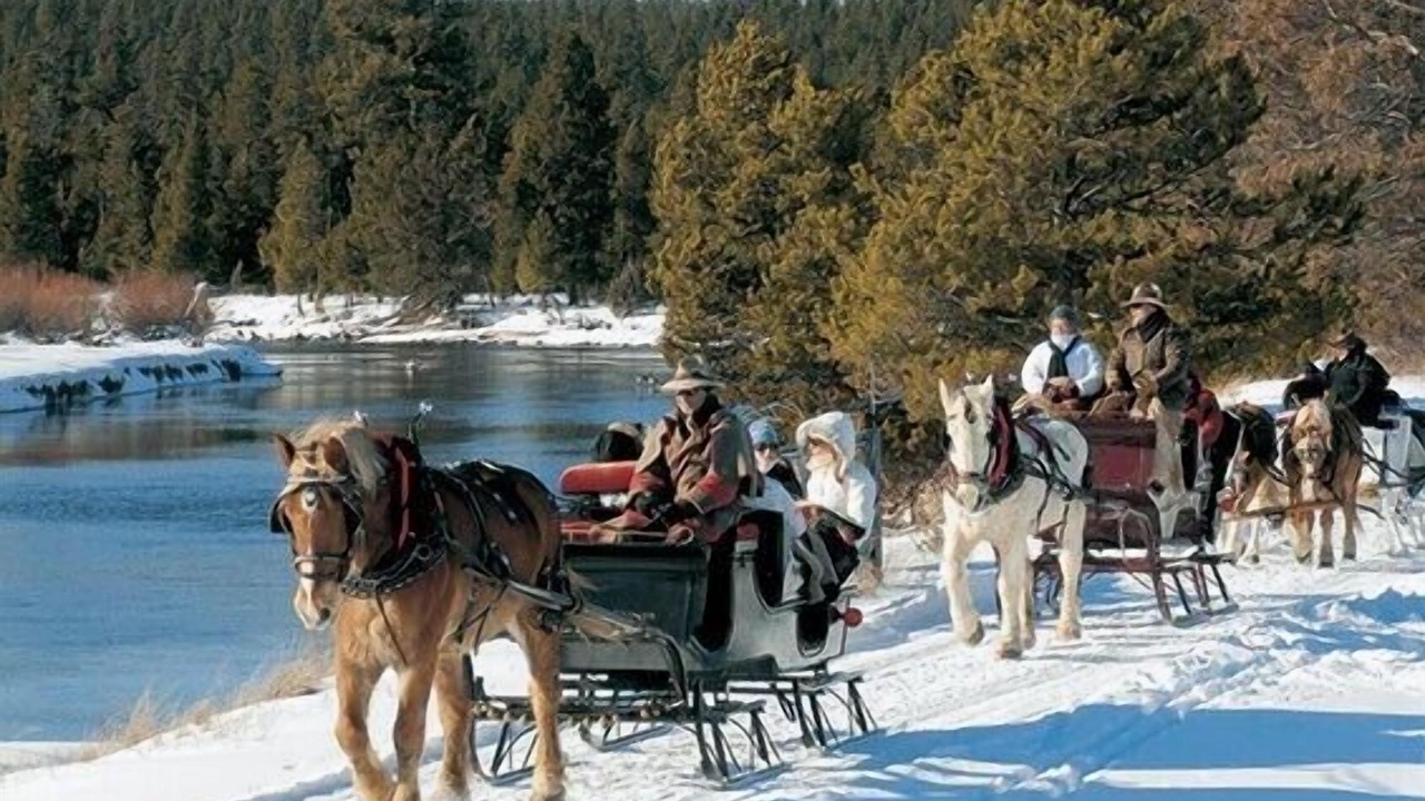 Photo of Others in Southern Crossing