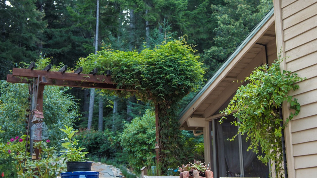 Photo of Outdoor in Santa Cruz
