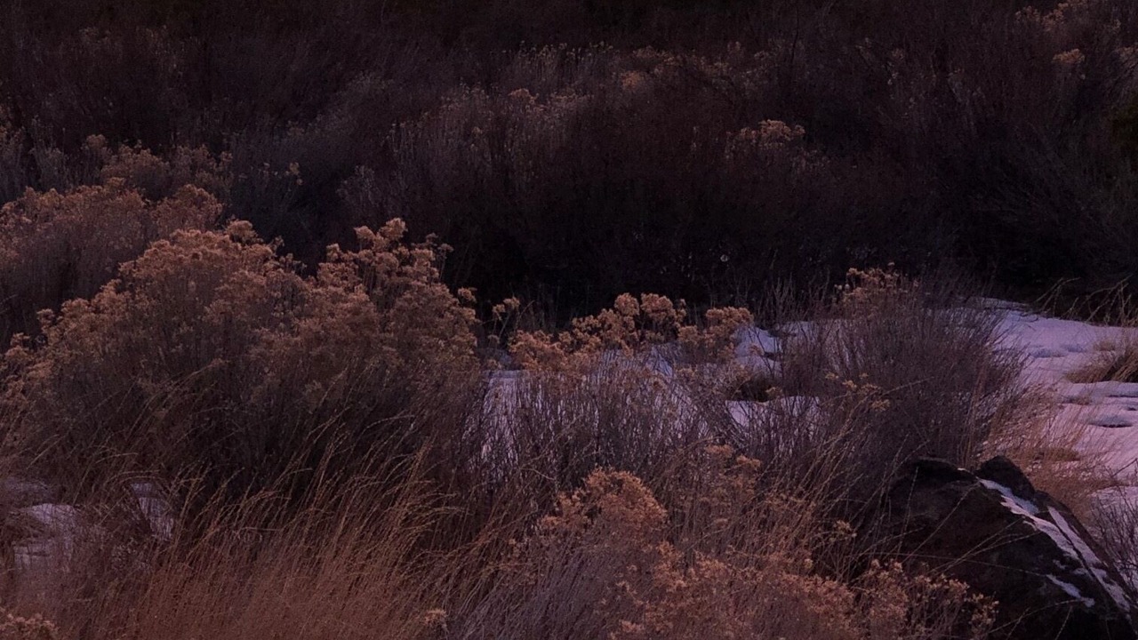 Photo of Others in Westbrook Meadows