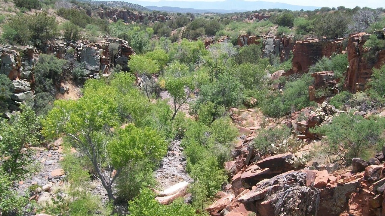 Photo of Others in Rimrock