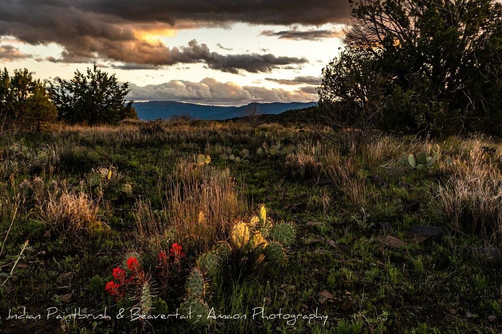 Photo of Outdoor in Rimrock