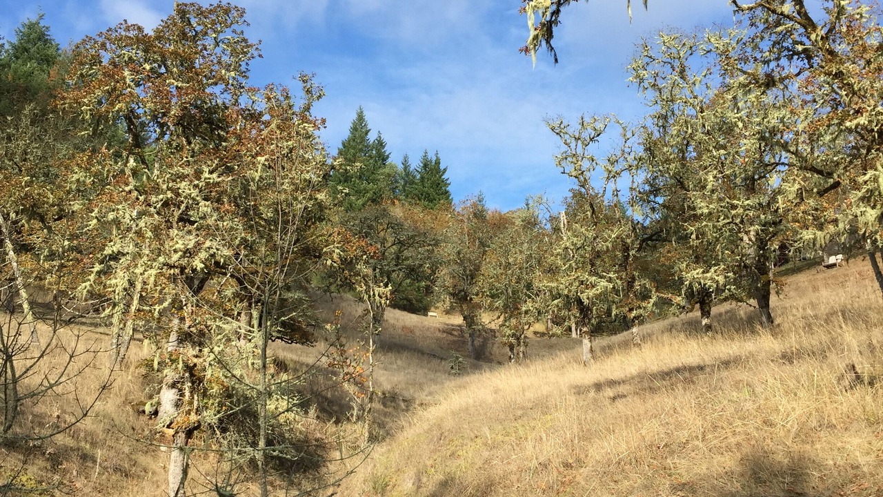 Photo of Others in Eugene