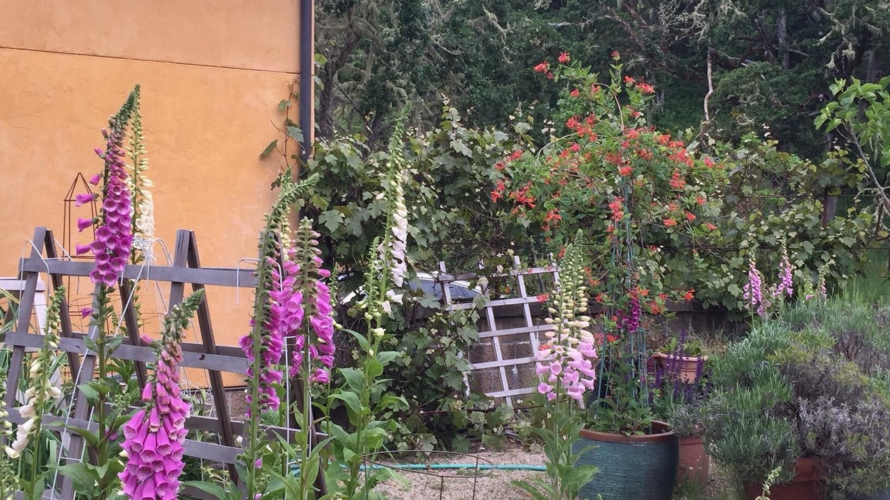 Photo of Outdoor in Eugene