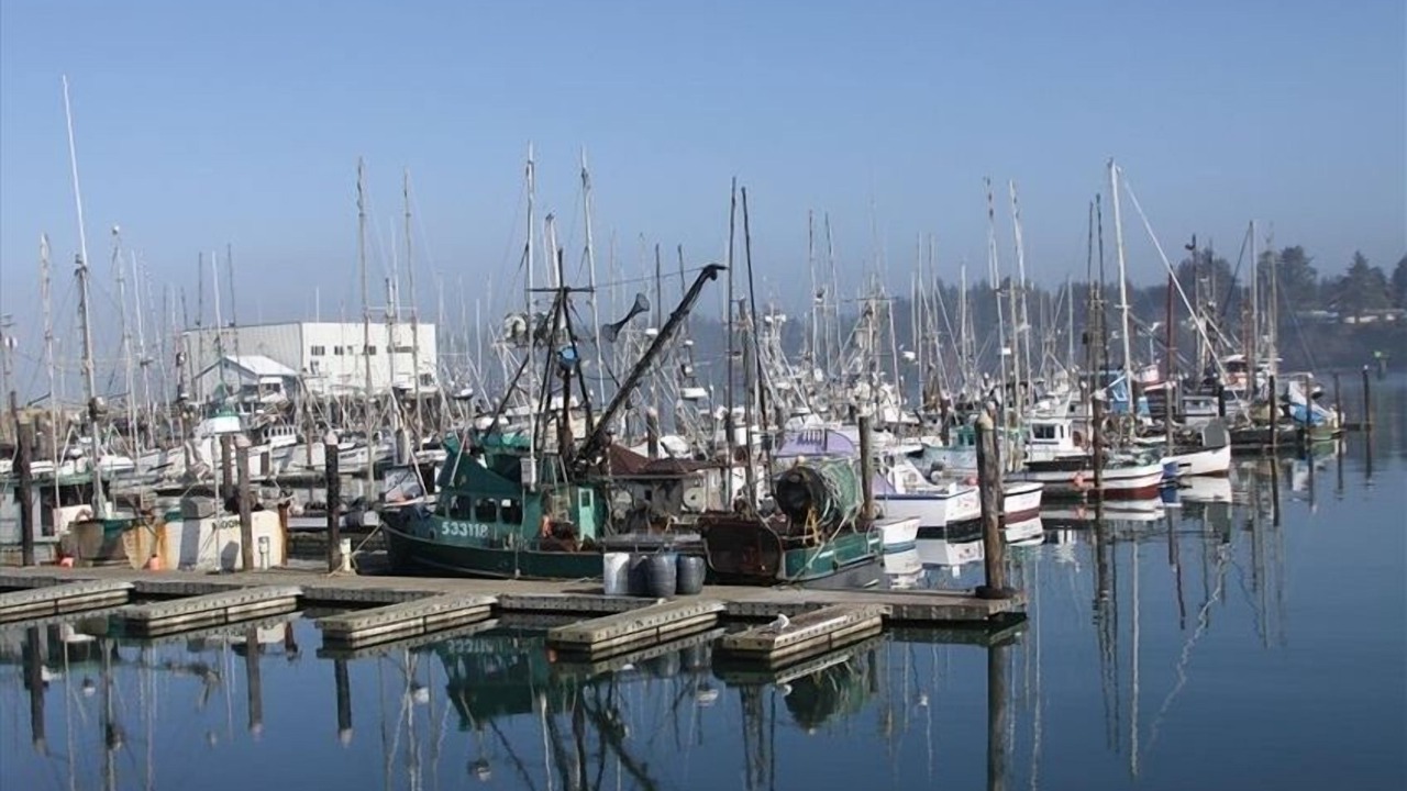 Photo of Others in Coos Bay
