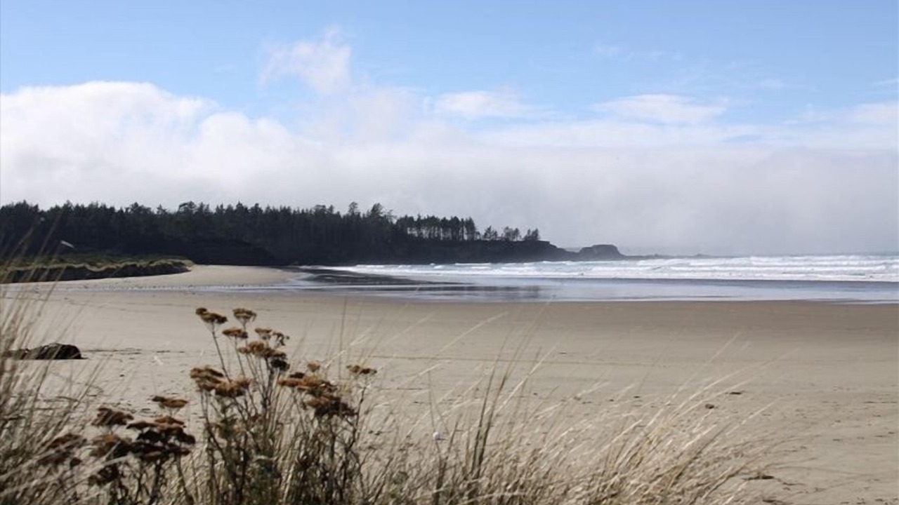 Photo of Others in Coos Bay