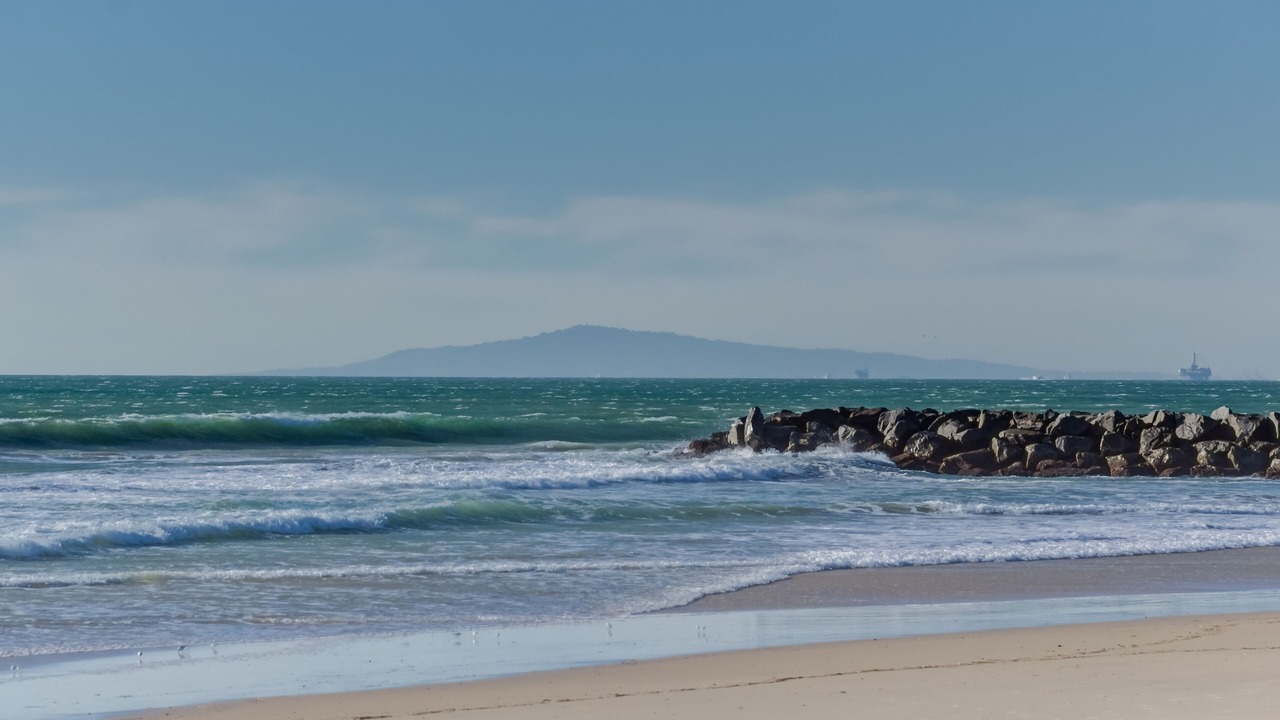 Photo of Others in West Newport