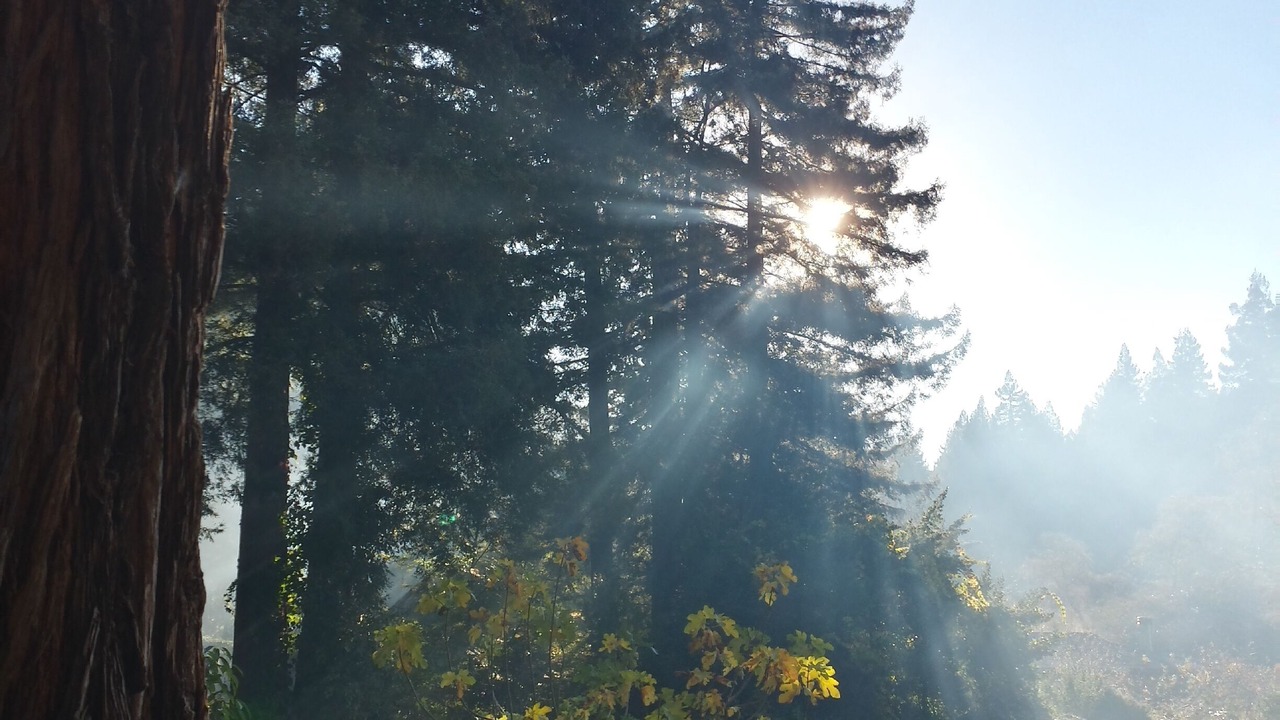 Photo of Others in Cazadero