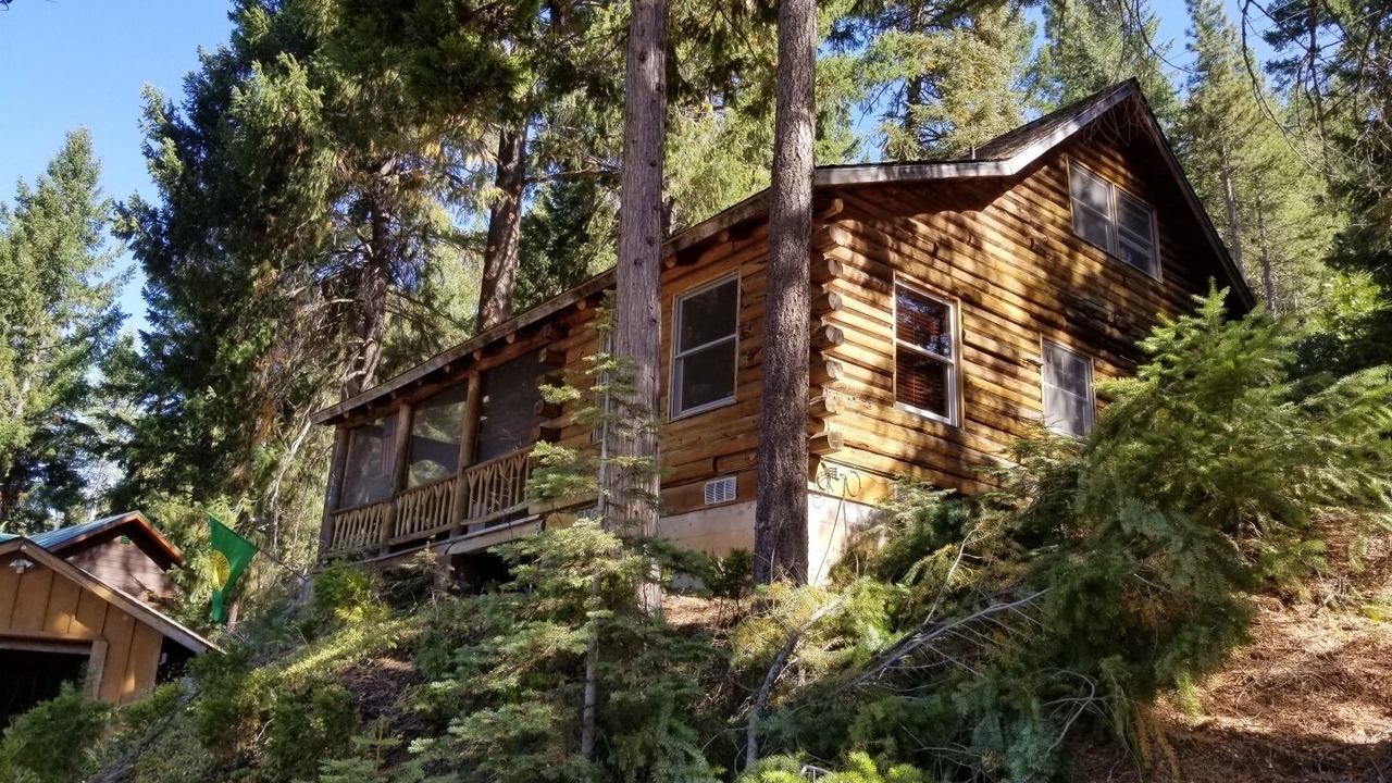 Photo of Outdoor in East Shore