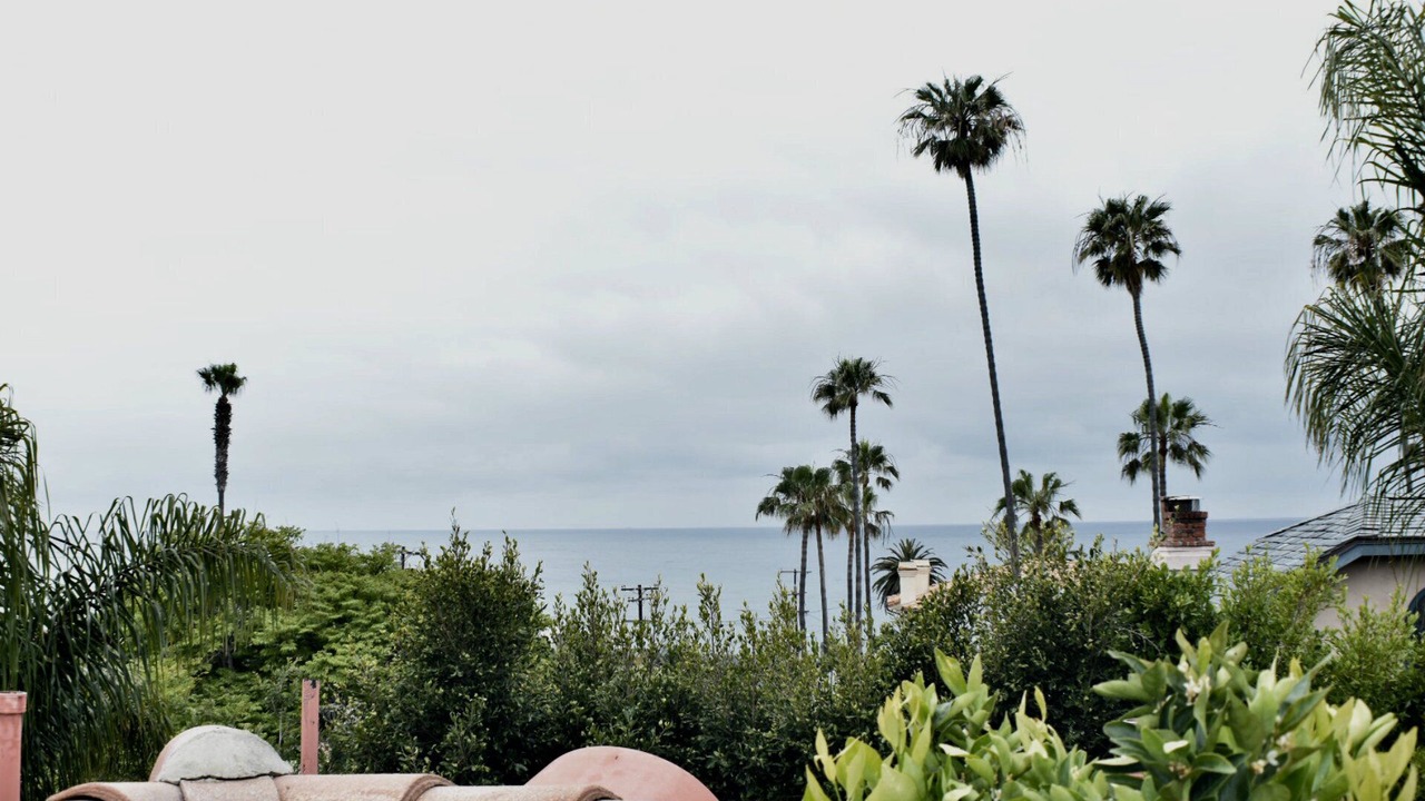 Photo of Others in La Jolla