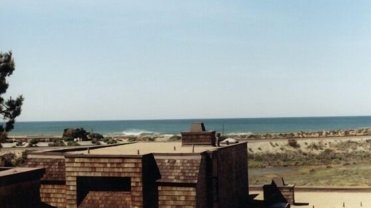 Photo of Others in Del Mar Heights