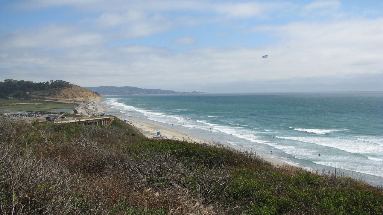 Photo of Others in Del Mar Heights