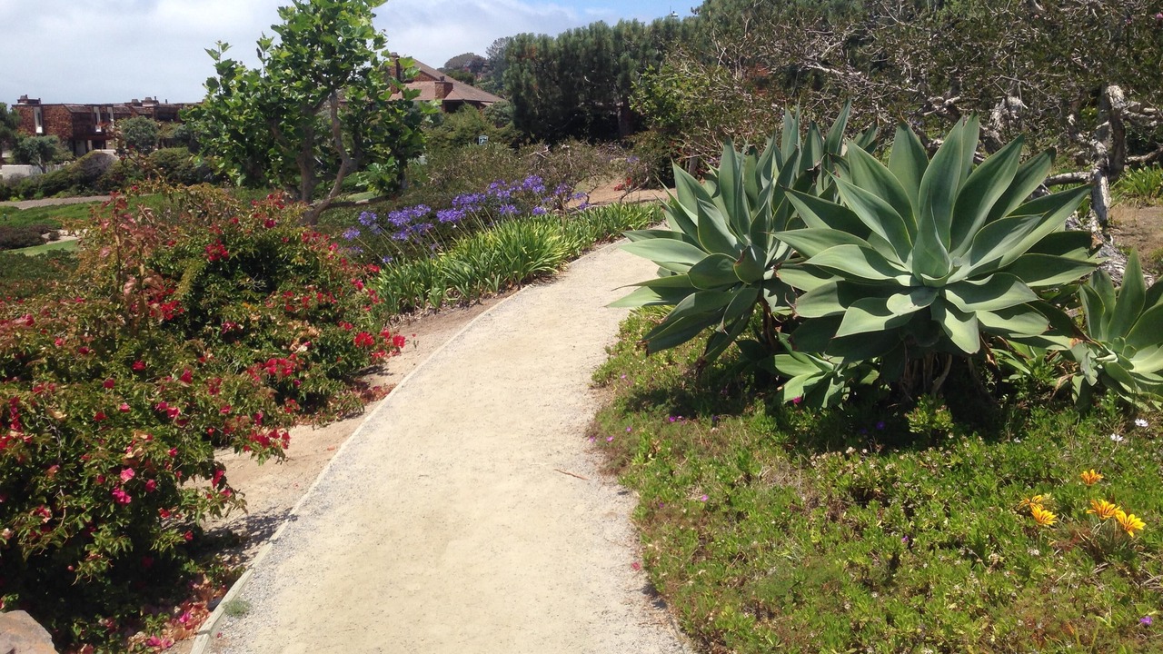 Photo of Others in Del Mar Heights