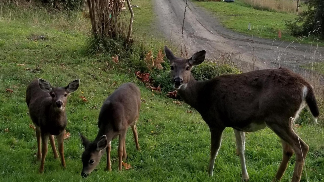 Photo of Others in Rosburg