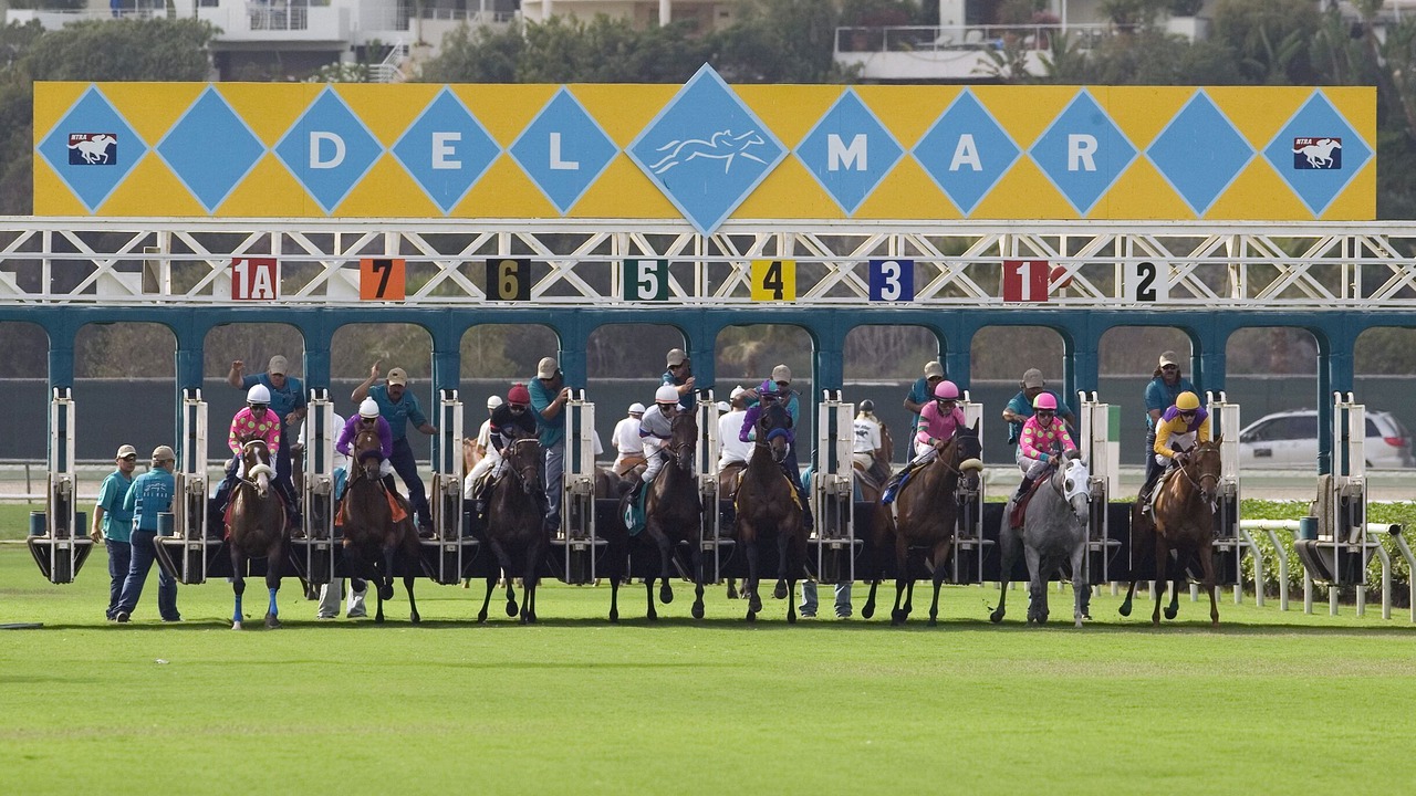 Photo of Others in Del Mar