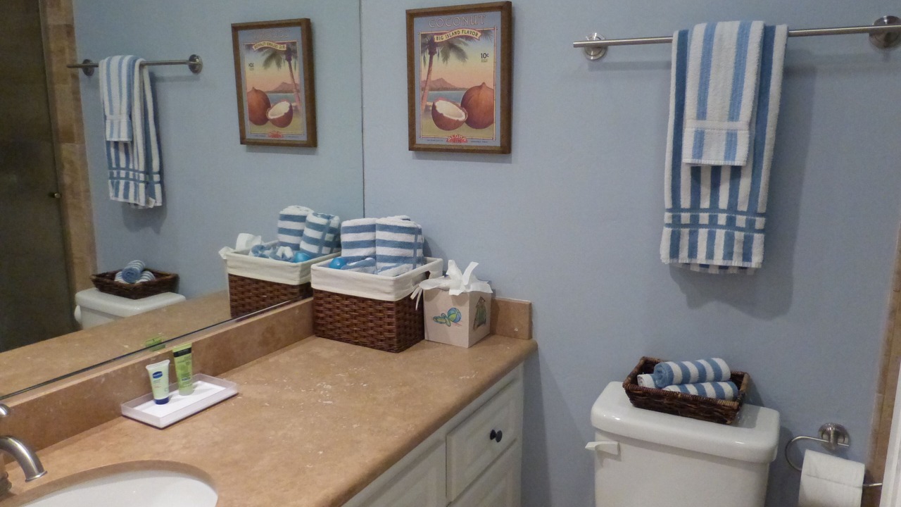 Photo of Bathroom in Solana Beach