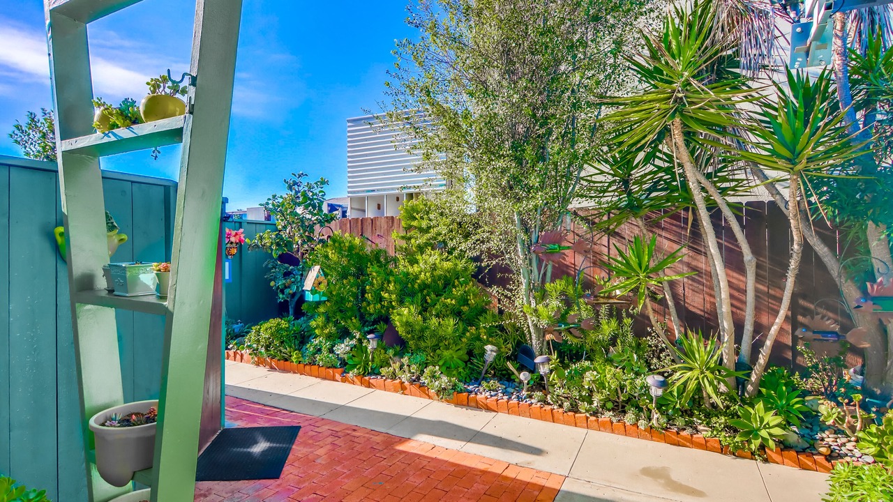 Photo of Outdoor in Ocean Beach