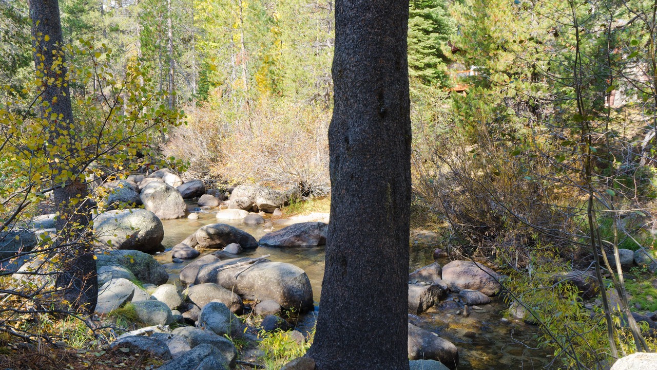 Photo of Others in Olympic Valley