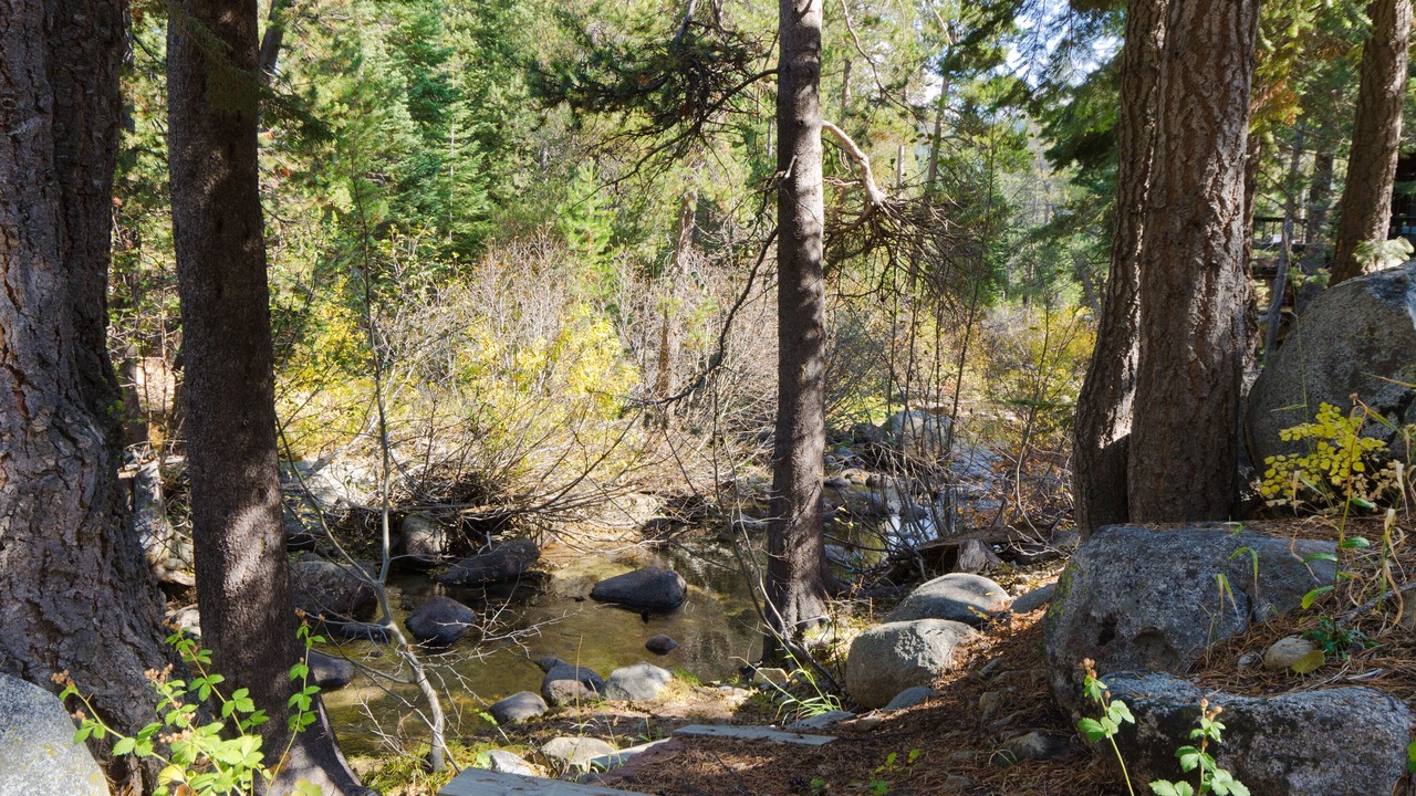 Photo of Others in Olympic Valley