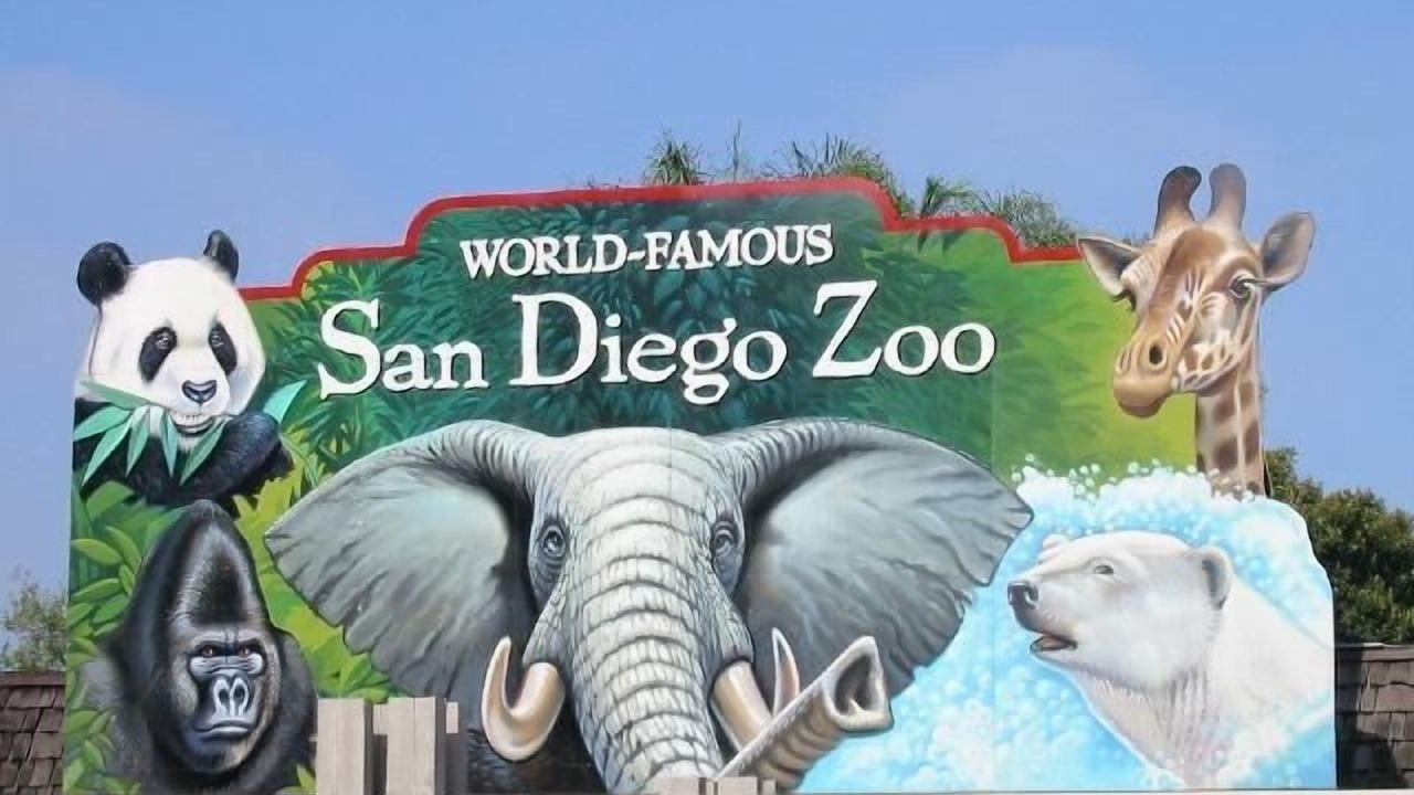 Photo of Others in Carlsbad