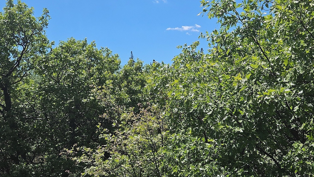 Photo of Outdoor in Julian