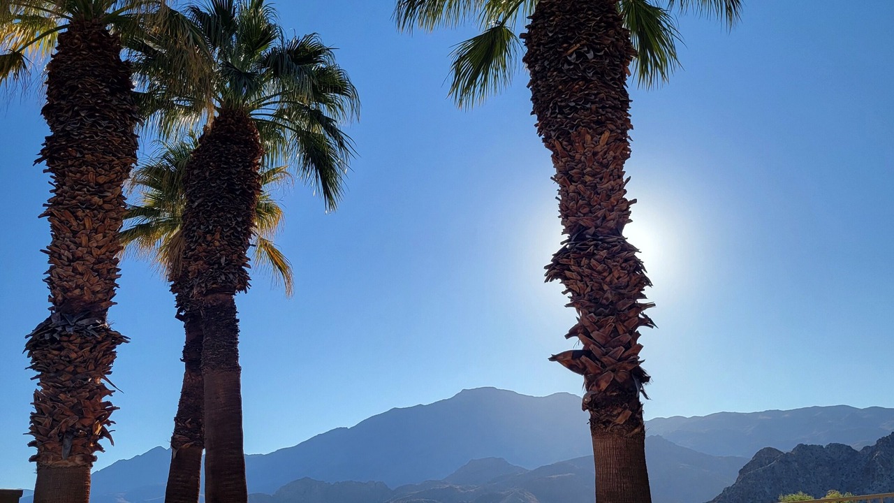 Photo of Outdoor in La Quinta