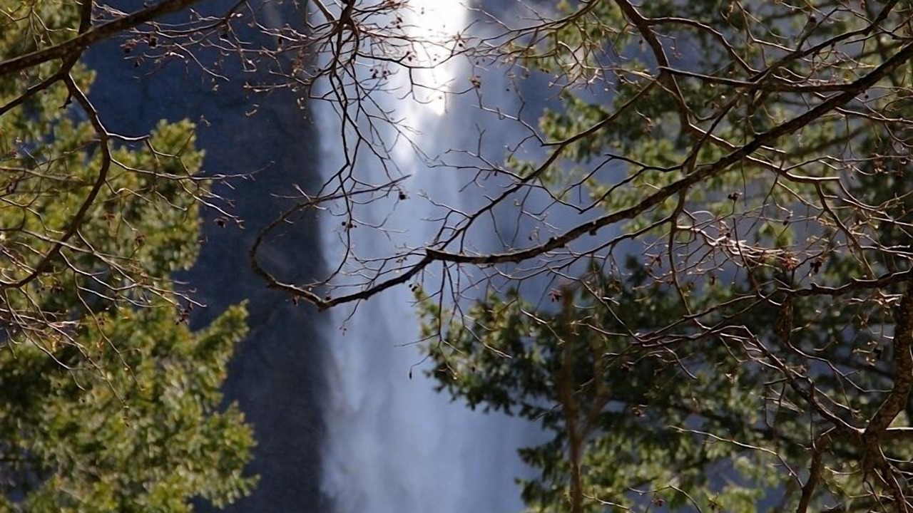 Photo of Others in North Wawona