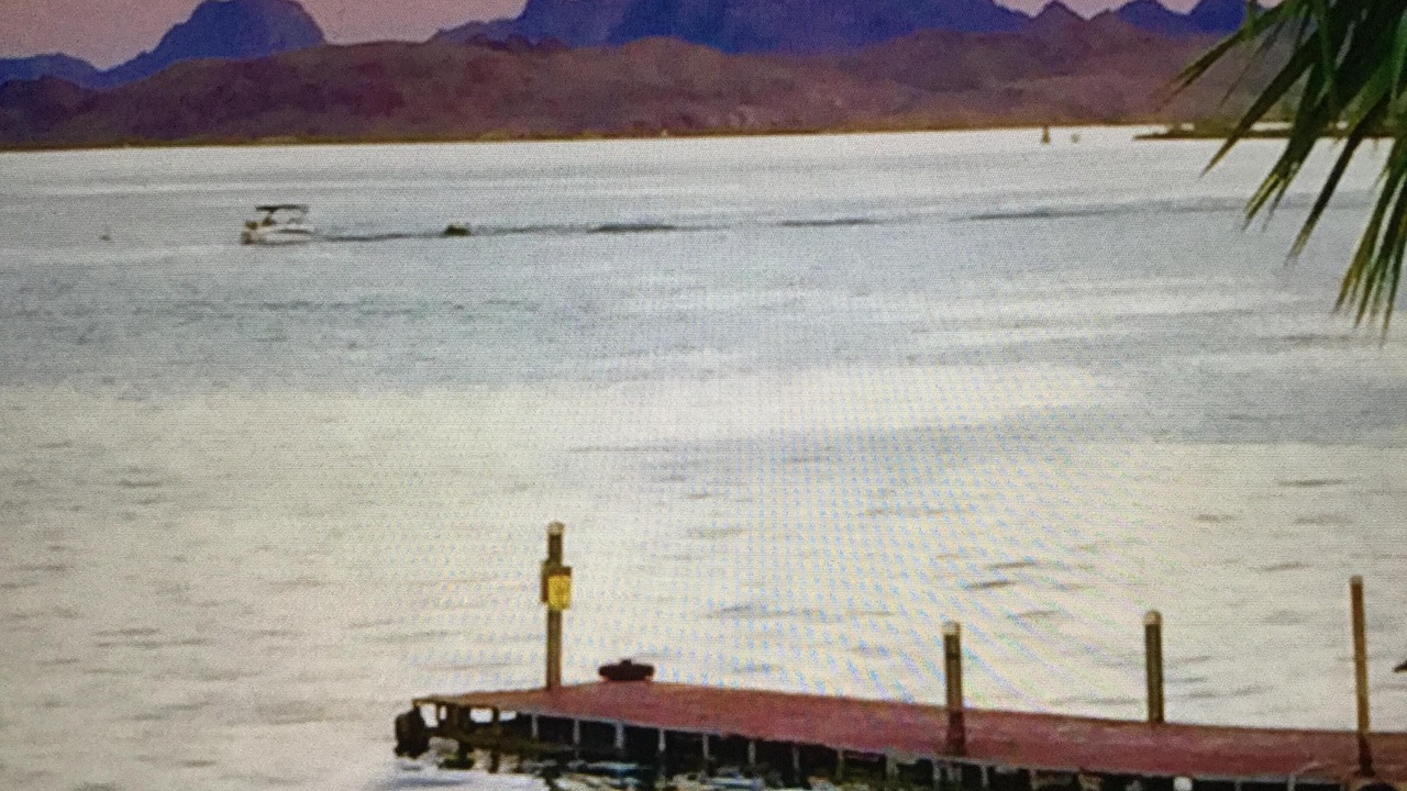 Photo of Others in Lake Havasu City