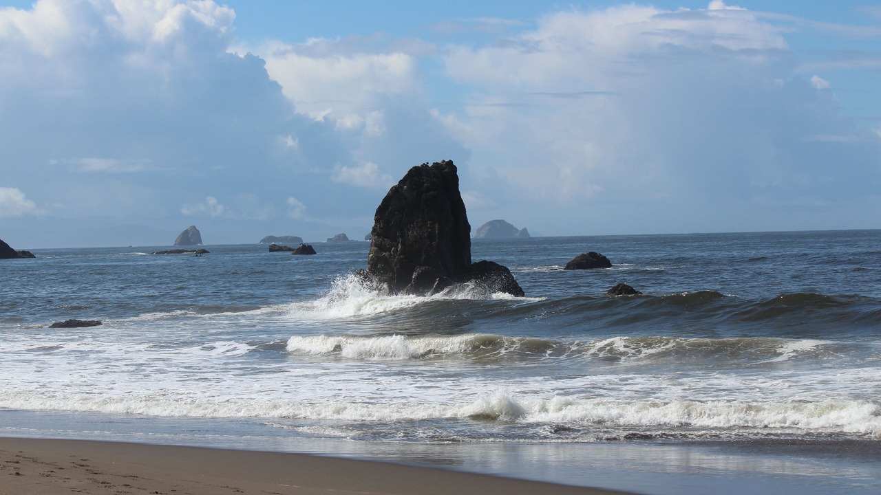 Photo of Others in Port Orford