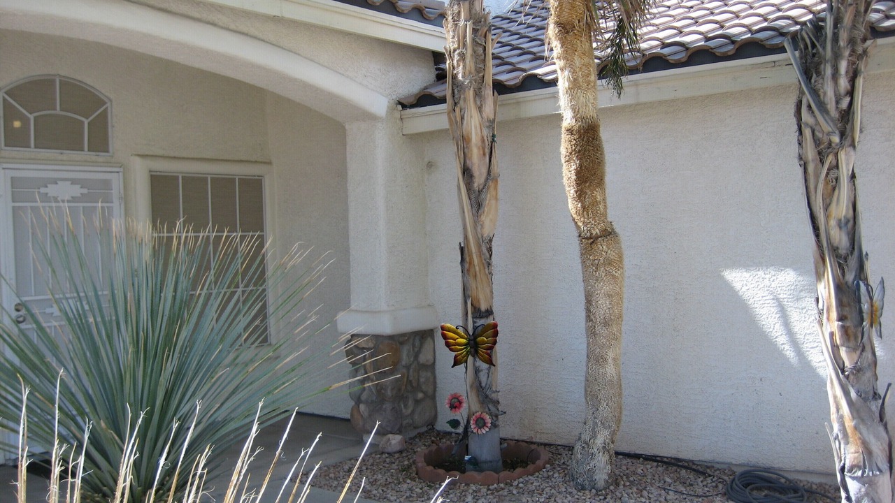 Photo of Outdoor in Silverado Ranch