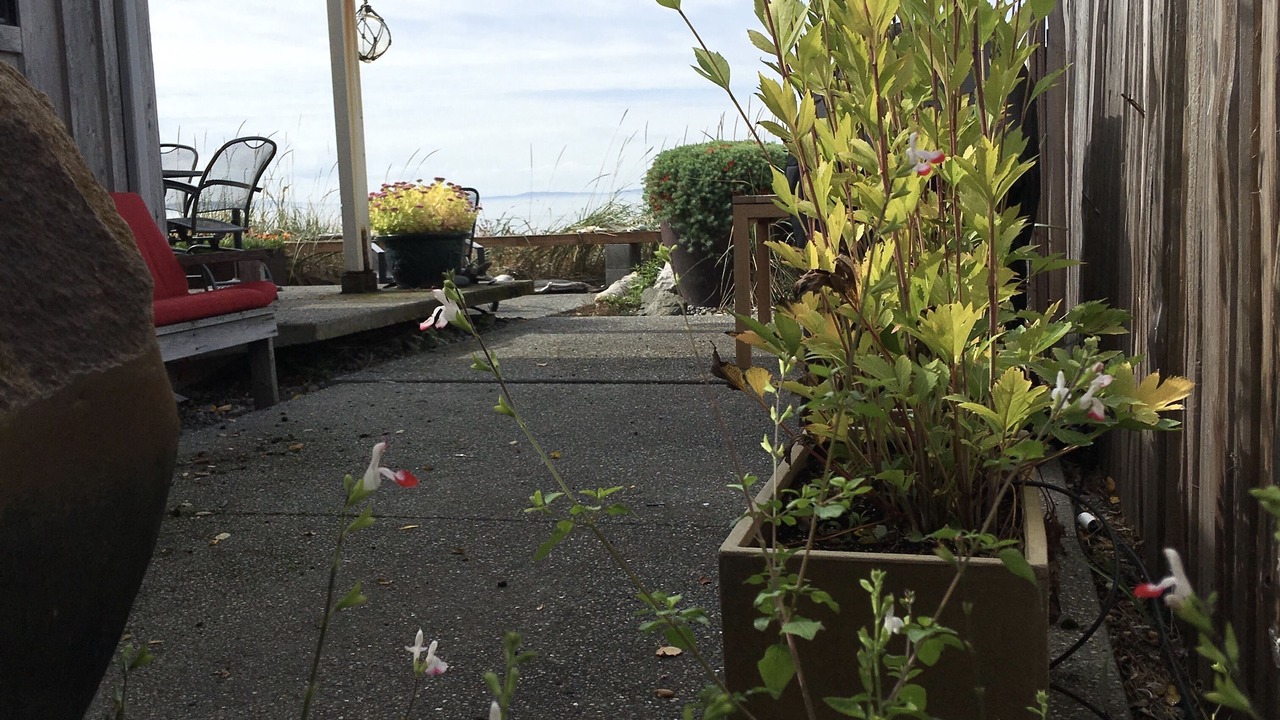 Photo of Outdoor in Ferndale