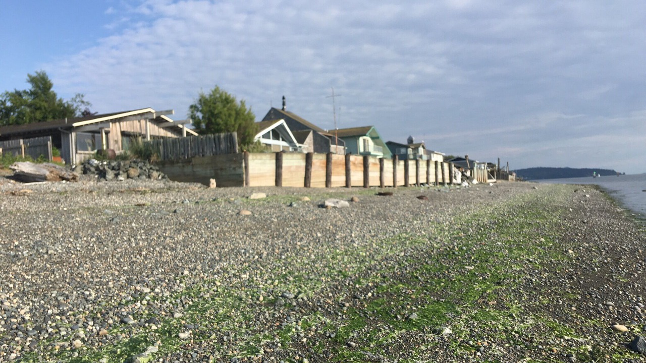 Photo of Outdoor in Ferndale