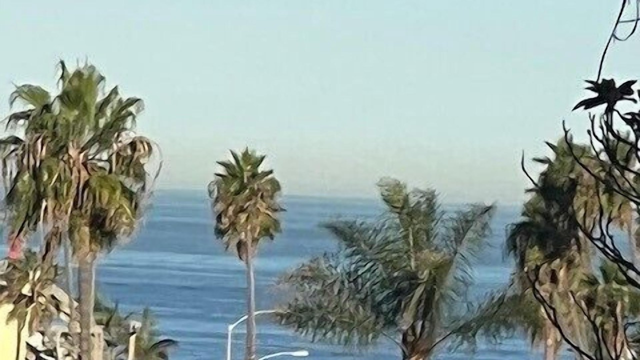 Photo of Others in Ocean Beach