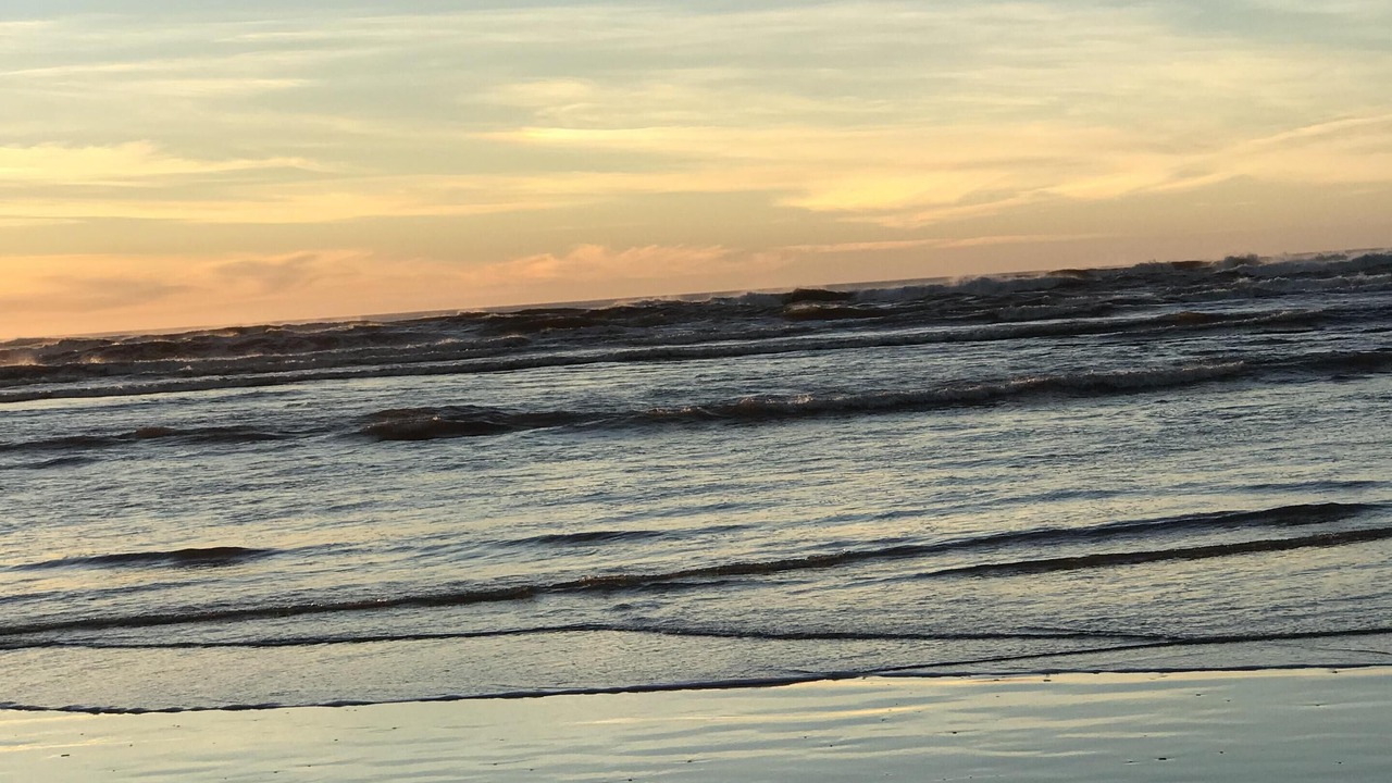 Photo of Others in Rockaway Beach