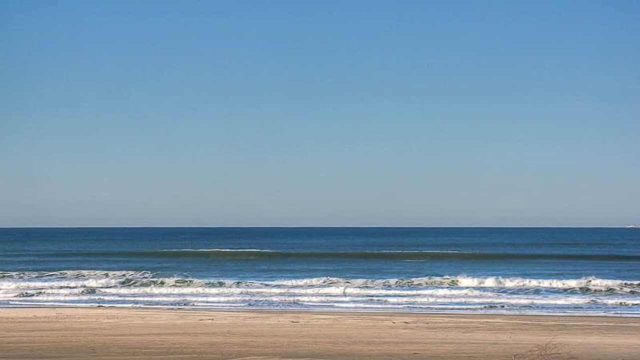 Photo of Others in Bayshore