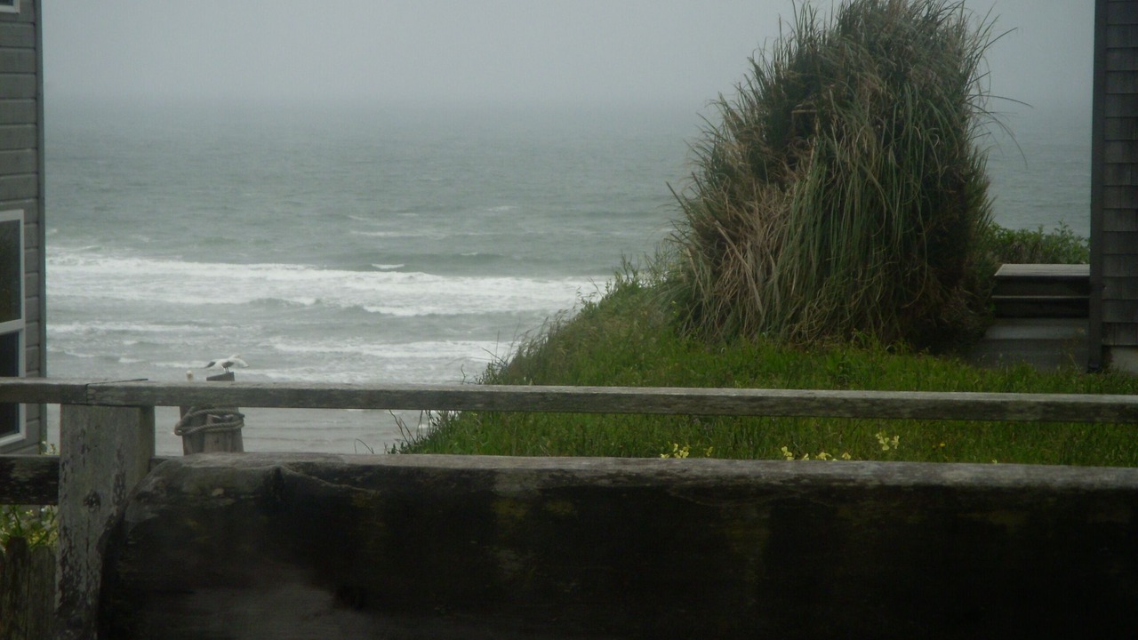 Photo of Others in Bandon