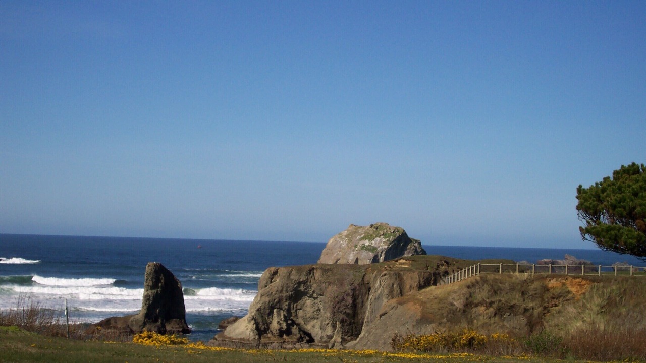 Photo of Others in Bandon
