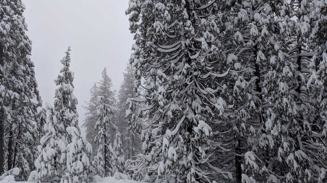 Photo of Others in Sierra Village
