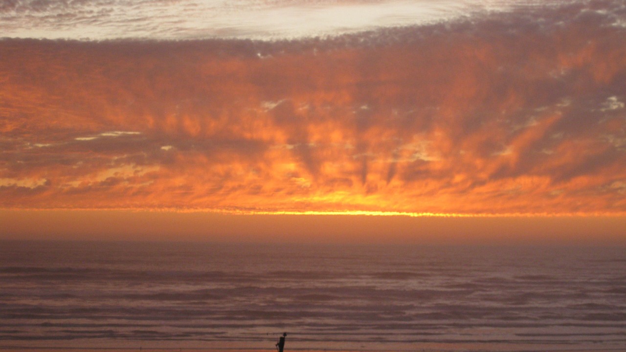 Photo of Others in Pacific Beach