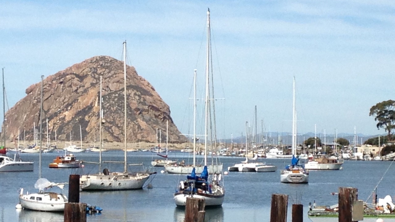Photo of Others in Morro Bay