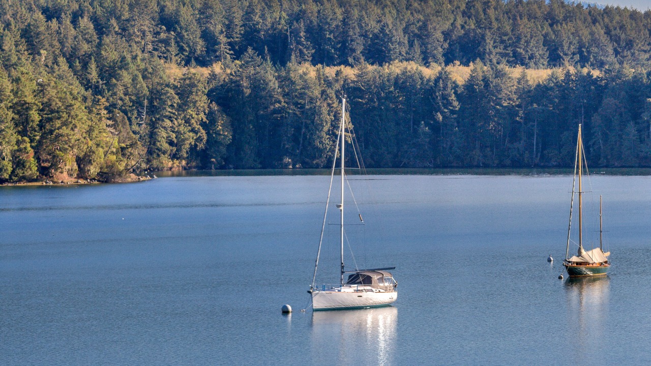 Photo of Others in Roche Harbor