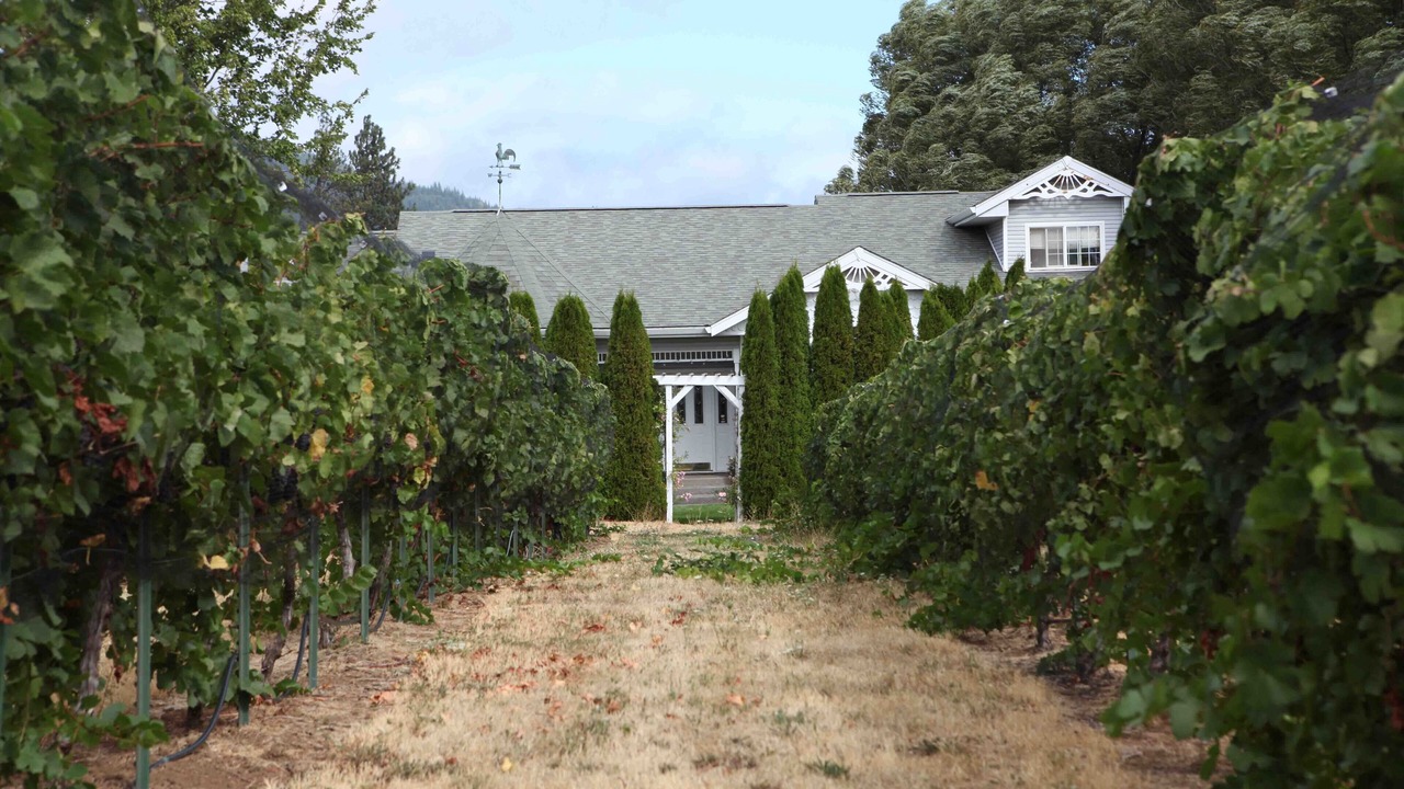Photo of Outdoor in Hood River