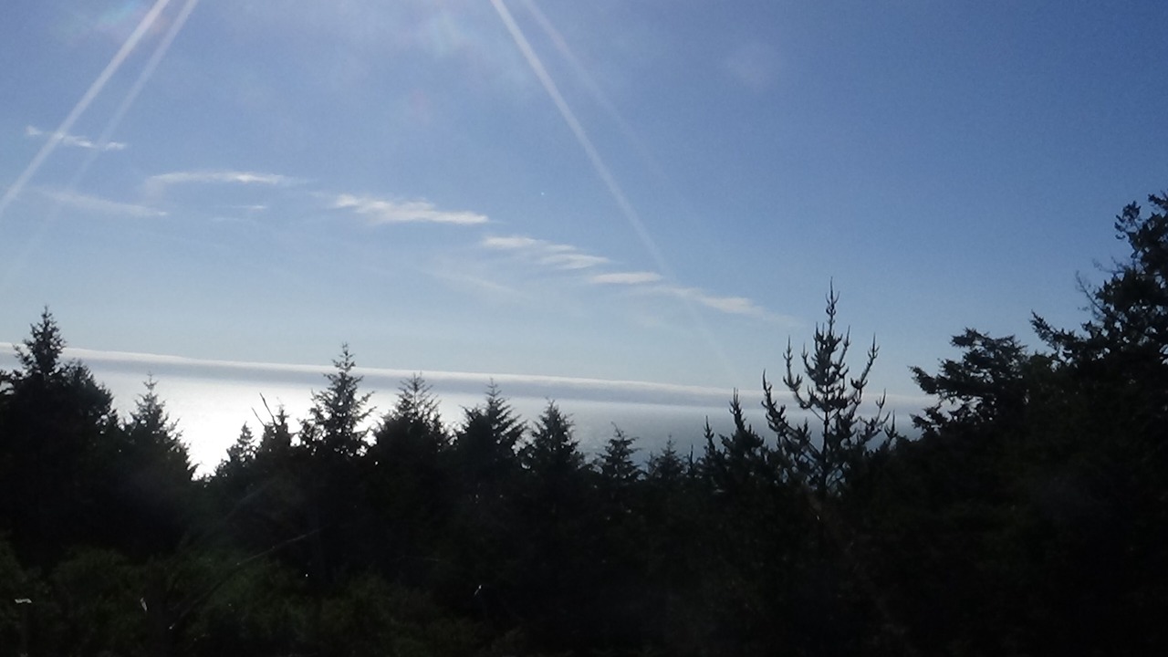 Photo of Others in Shelter Cove