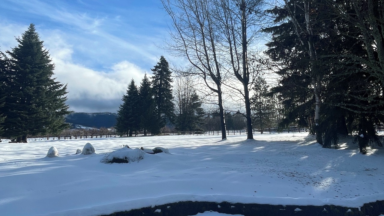 Photo of Outdoor in Parkdale