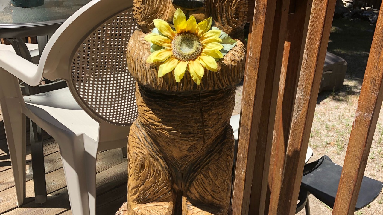 Photo of Outdoor in Idyllwild
