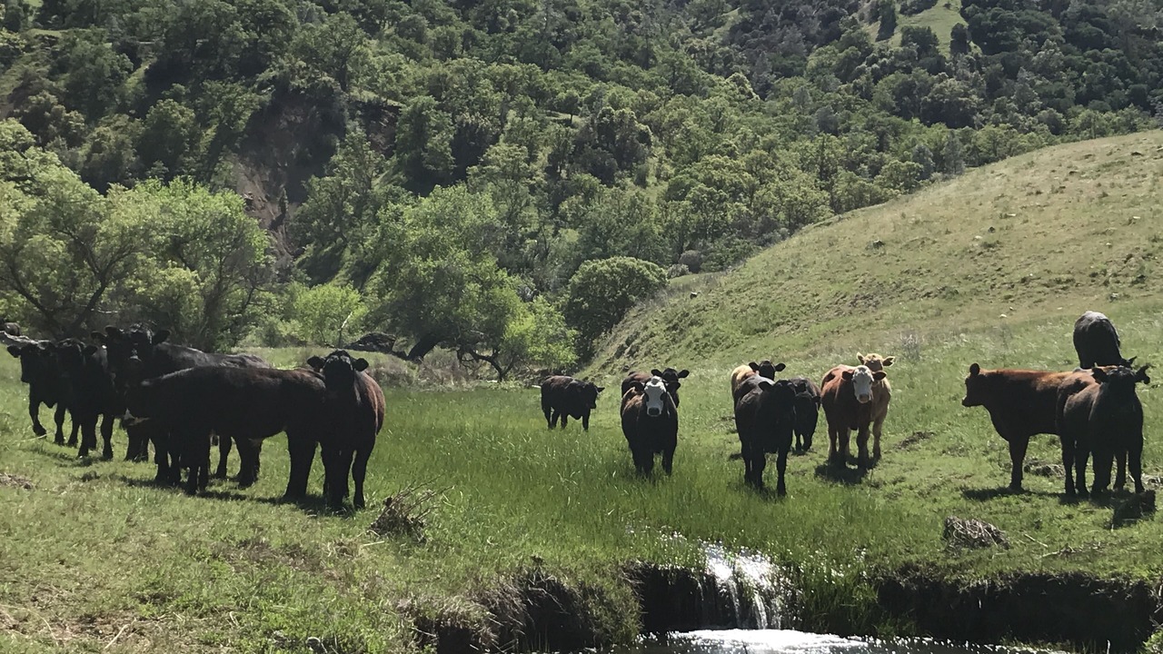Photo of Outdoor in San Benito